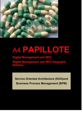 A4 PAPILLOTE
Digital Management and SEO
Digital Management and SEO Integrated
Delivery
Service Oriented Architecture (SOA)and
Business Process Management (BPM)
 