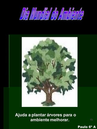 Ajuda a plantar árvores para o ambiente melhorar. Dia Mundial do Ambiente Paulo 6º A 