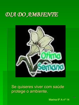 DIA DO AMBIENTE Marina 6º A nº 14   Se quiseres viver com saúde protege o ambiente. 
