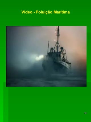 Vídeo - Poluição Marítima 