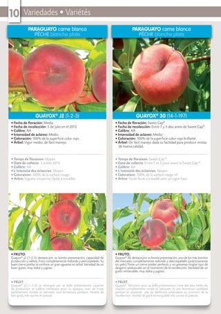 Variedades • Variétés10
PARAGUAYO carne blanca
PÊCHE blanche plate
• FRUTO.
Guayox®
j2-(1-2-3) destaca por su bonita presentación, capacidad de
producción y calibre, fruto completamente redondo y aterciopelado. Su
buen cierre pistilar le conﬁere un gran aguante en árbol. Variedad de un
buen gusto, muy dulce y jugoso.
• FRUIT.
Guayox®
j2-(1-2-3) se distingue par sa belle présentation, capacité
de production et calibre interesant pour ca epoque, avec de fruits
parfaitement rondes et veloutés. bon fermeture pistilaire. Variété de
bon goût, très sucrée et juteuse.
• Fecha de ﬂoración: Media.
• Fecha de recolección: 5 de julio en el 2013.
• Calibre: AA
• Intensidad de aclareo: Medio.
• Coloración: 100% de la superﬁcie color rojo.
• Árbol: Vigor medio, de fácil manejo.
• Temps de ﬂoraison: Moyen
• Date de collecte: 5 Juillet 2013.
• Calibre: AA
• L’intensité des éclaircies: Moyen
• Coloration: 100% de la surface rouge.
• Arbre: Vigueur moyenne, facile à travailler.
GUAYOX®
J2 (1-2-3)
PARAGUAYO carne blanca
PÊCHE blanche plate
• FRUTO.
Guayox®
30, destaca por su bonita presentación, uno de los más bonitos
del mercado, completamente redondo y aterciopelado (prácticamente
sin pelo).Tiene un cierre pistilar perfecto y no presenta ningún tipo de
desgarro peduncular en el momento de la recolección. Variedad de un
gusto remarcable, muy dulce y jugoso.
• FRUIT.
Guayox®
30,connu pour sa belle présentation, l’une des plus belles du
marché complètement ronde et veloutée. A une fermeture pistillaire
parfaite et présente pas de déchirure pédiculaire au moment de la
recollection. Variété de goût remarquable très sucrée et juteuse..
• Fecha de ﬂoración: Sweet Cap®
• Fecha de recolección: Entre 7 y 5 días antes de Sweet Cap®
.
• Calibre: AA
• Intensidad de aclareo: Medio
• Coloración: 100% de la superﬁcie color rojo brillante.
• Árbol: De fácil manejo dada su facilidad para producir mixtas
de buena calidad.
• Temps de ﬂoraison: Sweet Cap ®
.
• Date de collecte: Entre 7 et 5 jours avant la Sweet Cap ®
.
• Calibre: AA
• L’intensité des éclaircies: Moyen.
• Coloration: 100% de la surface rouge vif.
• Arbre: Facile facile a travaillé avec un vigor haut
GUAYOX®
30 (14-1-197)
 