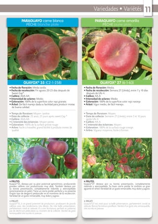 Variedades • Variétés 11
PARAGUAYO carne blanca
PÊCHE blanche plate
• FRUTO.
Guayox®
35, destaca por su gran potencial agronómico, produciendo
grandes calibres con producciones muy altas. También destaca por
su bonita presentación, completamente redondo y aterciopelado
(prácticamente sin pelo). Tiene un cierre pistilar perfecto y no presenta
ningún tipo de desgarro pedúncular en el momento de la recolección.
Variedad de un gusto remarcable, muy dulce y jugoso.
• FRUIT.
Guayox®
35, à un grand potentiel de production, produisant de grands
calibres avec des rendements très élevés. De très belle présentation,
parfaitement rond et velouté. Il a une fermeture parfaite et présente
pas de déchirure pédiculaire au moment de la collecte. Variété de goût
remarquable très sucrée et juteuse.
• Fecha de ﬂoración: Media tardía.
• Fecha de recolección: Fin agosto 20-25 días después de
Sweet Cap®
.
• Calibre: AAA-AA
• Intensidad de aclareo: Medio.
• Coloración: 100% de la superﬁcie color rojo granate.
• Árbol: De fácil manejo dada su facilidad para producir mixtas
de buena calidad.
• Temps de ﬂoraison: Moyen- tardive
• Date de collecte: 25 aout, 25 jours après sweet Cap ®
• Calibre: AAA-AA
• L’intensité des éclaircies: Moyen-petite.
• Coloration: 100% de la surface grenat rouge
• Arbre: Facile à travailler, grand facilité à produite mixtes de
qualité.
GUAYOX®
35 (C2-1-258)
PARAGUAYO carne amarilla
PÊCHE jaune plate
• FRUTO.
Guayox®
27 destaca por su bonita presentación, completamente
redondo y aterciopelado. Su buen cierre pistilar le conﬁere un gran
aguante en árbol. Variedad de un gusto remarcable, muy dulce y jugoso.
• FRUIT.
Guayox®
27 est noté pour sa belle présentation, parfaitement ronde et
veloute. Bonne fermeture pistillaire. Variété d’un goût très remarquable,
très sucrée et juteuse.
• Fecha de ﬂoración: Media.
• Fecha de recolección: Semana 27 (Lleida), entre 7 y 10 días
después de Ufo 4.
• Calibre: AA-A
• Intensidad de aclareo: Medio
• Coloración: 100% de la superﬁcie color rojo naranja
• Árbol: Vigor medio, de fácil manejo.
• Temps de ﬂoraison: Moyen.
• Date de collecte: Semaine 27 (Lleida), entre 7 et 10 jours
après Ufo 4
• Calibre: AA-A
• L’intensité des éclaircies: Moyen
• Coloration: 100% de la surface rouge orange.
• Arbre: Vigueur moyenne, facile à former.
GUAYOX®
27 (6-1-63)
 