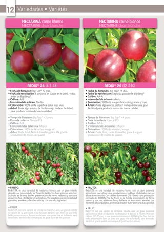 Variedades • Variétés12
NECTARINA carne blanca
NECTARINE chair blanche
• FRUTO.
Redix®
24, es una variedad de nectarina blanca con un gran interés
debido a su precocidad y su ﬂoración tardía. No hace piñones abiertos.
Su fruto es de muy bonita presentación de forma redonda y con una
epidermis ﬁna y brillante sin lenticelosis. Variedad con excelente calidad
gustativa, aromática, de sabor dulce y con una alta jugosidad.
• FRUIT.
Redix®
24, est une variété de nectarine blanche avec un grand intérêt
en raison de sa précocité et la ﬂoraison tardive. Son fruit est une très
belle présentation et forme ronde avec une peau ﬁne et brillante, sans
lenticelles. Variété très aromatique, de goût sucré et très juteuse.
• Fecha de ﬂoración: Big Top®
+2 días.
• Fecha de recolección: 8 de junio en Caspe en el 2013. 4 días
antes de Big Bang®
.
• Calibre: A-B
• Intensidad de aclareo: Medio
• Coloración: 100% de la superﬁcie color rojo vivo.
• Árbol: Porte algo erecto, de fácil manejo dada su facilidad
para producir mixtas de buena calidad.
• Temps de ﬂoraison: Big Top ®
+2 jours.
• Date de collecte: Temps R13
• Calibre: A-B
• L’intensité des éclaircies: Moyen
• Coloration: 100% de la surface rouge vif.
• Arbre: Porte droit, facile à travailler, grâce à la grande
production de mixtes de qualité.
REDIX®
24 (6-1-46)
NECTARINA carne blanca
NECTARINE chair blanche
• FRUTO.
Redix®
25, es una variedad de nectarina blanca con un gran potencial
agronómico que ofrece unas producciones y calibres inhabituales para su
época de recolección. Con calibres dominantes (73-75mm) y una producción
estimada de 30000Kg/ha. Su fruto es de bonita presentación de forma
ovalada y con una epidermis ﬁna y brillante sin lenticelosis. Variedad con
excelente calidad gustativa, aromática, de sabor dulce y con una alta jugosidad.
• FRUIT.
Redix®
25, est une variété de nectarine blanche avec un grand potentiel
agronomique et de productions insolites pour le date de la récolte. Avec des
calibres (73-75mm) et une production estimée à 30000Kg/ha. Son fruit de
belle presentation dans un avec une peau ﬁne et brillante, sans lenticelle.
Variété de grand qualité, aromatique, le goût sucré et juteuse.
• Fecha de ﬂoración: Big Top®
+4 días.
• Fecha de recolección: Segunda pasada de Big Bang®
• Calibre: AA-A
• Intensidad de aclareo: Medio
• Coloración: 100% de la superﬁcie color granate / rojo.
• Árbol: Porte algo erecto, de fácil manejo tiene una gran
facilidad para producir mixtas de buena calidad.
• Temps de ﬂoraison: Big Top ®
+4 jours.
• Date de collecte: Epoca R13
• Calibre: AA-A
• L’intensité des éclaircies: Moyen
• Coloration: 100% du violette / rouge..
• Arbre: Porte droit, facile à travailler, grace à la gran
production de mixtes de qualite.
REDIX®
25 (12-250)
 