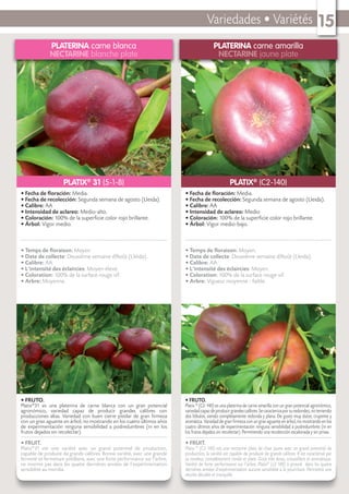 Variedades • Variétés 15
PLATERINA carne blanca
NECTARINE blanche plate
• FRUTO.
Platix®
31 es una platerina de carne blanca con un gran potencial
agronómico, variedad capaz de producir grandes calibres con
producciones altas. Variedad con buen cierre pistilar de gran ﬁrmeza
con un gran aguante en árbol, no mostrando en los cuatro últimos años
de experimentación ninguna sensibilidad a podredumbres (ni en los
frutos dejados sin recolectar).
• FRUIT.
Platix®
31 est une variété avec un grand potentiel de production,
capable de produire de grands calibres. Bonne variété, avec une grande
fermeté et fermeture pistillaire, avec une forte performance sur l’arbre,
ne montre pas dans les quatre dernières années de l’expérimentation
sensibilité au monilia.
• Fecha de ﬂoración: Media.
• Fecha de recolección: Segunda semana de agosto (Lleida).
• Calibre: AA
• Intensidad de aclareo: Medio-alto.
• Coloración: 100% de la superﬁcie color rojo brillante.
• Árbol: Vigor medio.
• Temps de ﬂoraison: Moyen
• Date de collecte: Deuxième semaine d’Août (Lleida)..
• Calibre: AA
• L’intensité des éclaircies: Moyen-élevé.
• Coloration: 100% de la surface rouge vif.
• Arbre: Moyenne.
PLATIX®
31 (5-1-8)
PLATERINA carne amarilla
NECTARINE jaune plate
• FRUTO.
Platix ®
(C2-140) es una platerina de carne amarilla con un gran potencial agronómico,
variedadcapazdeproducirgrandescalibres.Secaracterizaporsuredondez,noteniendo
dos lóbulos, siendo completamente redonda y plana. De gusto muy dulce, crujiente y
aromática. Variedad de gran ﬁrmeza con un gran aguante en árbol, no mostrando en los
cuatro últimos años de experimentación ninguna sensibilidad a podredumbres (ni en
los frutos dejados sin recolectar). Permitiendo una recolección escalonada y sin prisas.
• FRUIT.
Platix ®
(C2-140) est une nectarine plate de chair jaune avec un grand potentiel de
production, la variété est capable de produire de grands calibres. Il est caractérisé par
sa rondeur, complètement ronde et plate. Goût très doux, croustillant et aromatique.
Variété de forte performance sur l’arbre, Platix®
(c2-140) à prouvé dans les quatre
dernières années d’expérimentation aucune sensibilité à la pourriture. Permettre une
récolte décalée et tranquille.
• Fecha de ﬂoración: Media.
• Fecha de recolección: Segunda semana de agosto (Lleida).
• Calibre: AA
• Intensidad de aclareo: Medio
• Coloración: 100% de la superﬁcie color rojo brillante.
• Árbol: Vigor medio-bajo.
• Temps de ﬂoraison: Moyen.
• Date de collecte: Deuxième semaine d’Août (Lleida).
• Calibre: AA
• L’intensité des éclaircies: Moyen.
• Coloration: 100% de la surface rouge vif.
• Arbre: Vigueur moyenne - faible.
PLATIX®
(C2-140)
 
