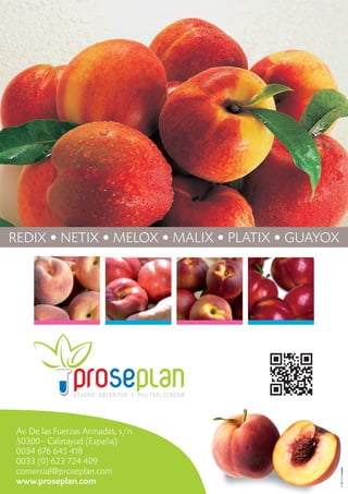 Av. De las Fuerzas Armadas, s/n.
50300 - Calatayud (España)
0034 676 645 418
0033 (0) 623 724 409
comercial@proseplan.com
www.proseplan.com
REDIX • NETIX • MELOX • MALIX • PLATIX • GUAYOX
 