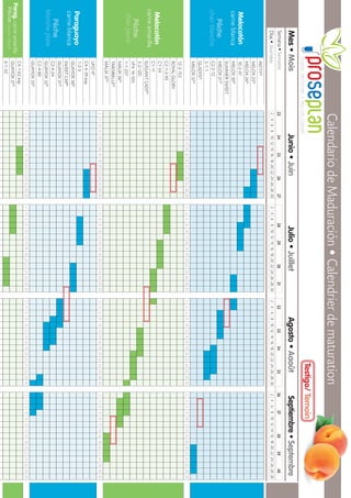 Junio•JuinJulio•JuilletAgosto•AaoûtSeptiembre•Septembre
Melocotón
carneblanca
Pêche
chairblanche
PATTY®
MELOX25®
MELOX26®
10-2-47
MELOX30®
SUMMERSWEET
MELOX31®
C2-2-12
5-1-1
GLADYS®
MELOX37®
Melocotón
carneamarilla
Pêche
chairjaune
12-2-152
ROYALGLORY
C2-1-2-95
C1-54
C1-11
ELEGANTLADY®
2-2-120
VF4-14-105
1-1-257
MALIX36®
TARDIBELLE®
MALIX37®
Paraguayo
carneblanca
Pêche
blancheplate
UFO4®
C4-4-39exp
1-2-3
GUAYOX30®
SWEETCAP®
GUAYOX31®
C2-4-24
GUAYOX32®
C2-4-80
GUAYOX35®
Parag.carneamarilla
Pêchejauneplate
C4-1-62exp
GUAYOX27®
6-1-32
24681012141618202224262830
24681012141618202224262830
24681012141618202224262830
24681012141618202224262830
24681012141618202224262830
24681012141618202224262830
24681012141618202224262830
24681012141618202224262830
24681012141618202224262830
24681012141618202224262830
24681012141618202224262830
24681012141618202224262830
2324252627
24681012141618202224262830
28293031
24681012141618202224262830
32333435
24681012141618202224262830
3637383940
24681012141618202224262830
Mes•Mois
Semana•Semaine
Días•Journées
CalendariodeMaduración•Calendrierdematuration
Testigo/Temoin
 