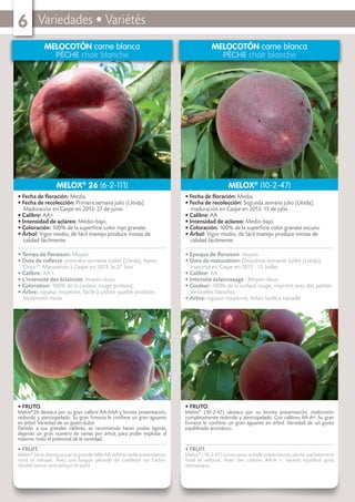 Variedades • Variétés6
MELOCOTÓN carne blanca
PÊCHE chair blanche
• FRUTO.
Melox®
(10-2-47) destaca por su bonita presentación, melocotón
completamente redondo y aterciopelado. Con calibres AA-A+. Su gran
ﬁrmeza le conﬁere un gran aguante en árbol. Variedad de un gusto
equilibrado aromático.
• FRUIT.
Melox®
(10-2-47) connu pour sa belle présentation, pêche parfaitement
rond et velouté. Avec des calibres AA-A +. Varieté equilibré goût
aromatique.
• Fecha de ﬂoración: Media.
• Fecha de recolección: Segunda semana julio (Lleida),
maduración en Caspe en 2013: 13 de julio
• Calibre: AA
• Intensidad de aclareo: Medio-bajo.
• Coloración: 100% de la superﬁcie color granate oscuro.
• Árbol: Vigor medio, de fácil manejo produce mixtas de
calidad fácilmente.
• Epoque de ﬂoraison: moyen.
• Date de maturation: Deuxième semaine Juillet (Lleida),
maturité en Caspe en 2013 : 13 Juillet
• Calibre: AA
• Intensité éclaircissage : Moyen-doux.
• Couleur: 100% de la surface rouge, imprimé avec des petites
lenticelles blanches.
• Arbre: vigueur moyenne, Arbre facile a travaillé.
MELOX®
(10-2-47)
MELOCOTÓN carne blanca
PÊCHE chair blanche
• FRUTO.
Melox®
26 destaca por su gran calibre AA-AAA y bonita presentación,
redondo y aterciopelado. Su gran ﬁrmeza le conﬁere un gran aguante
en árbol. Variedad de un gusto dulce.
Debido a sus grandes calibres, se recomienda hacer podas ligeras,
dejando un gran número de ramas por árbol, para poder explotar al
máximo todo el potencial de la variedad.
• FRUIT.
Melox®
26 se distingue par sa grande taille AA-AAA et belle présentation,
rond et velouté. Avec une longue période de cueillette sur l’arbre.
Variété saveur aromatique et sucré.
• Fecha de ﬂoración: Media.
• Fecha de recolección: Primera semana julio (Lleida).
Maduración en Caspe en 2013: 27 de junio
• Calibre: AA+
• Intensidad de aclareo: Medio-bajo.
• Coloración: 100% de la superﬁcie color rojo granate.
• Árbol: Vigor medio, de fácil manejo produce mixtas de
calidad fácilmente.
• Temps de ﬂoraison: Moyen.
• Date de collecte: première semaine Juillet (Lleida), Apres
Onyx ®
. Maturation à Caspe en 2013: le 27 Juin
• Calibre: AA +
• L’intensité des éclaircies: moyen-doux.
• Coloration: 100% de la couleur rouge profond.
• Arbre: vigueur moyenne, facile à utiliser qualité produire
facilement mixte.
MELOX®
26 (6-2-111)
 