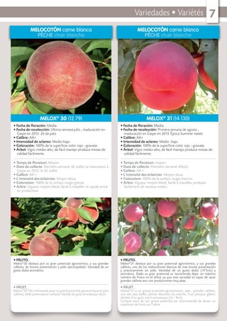 Variedades • Variétés 7
MELOCOTÓN carne blanca
PÊCHE chair blanche
• FRUTO.
Melox®
30 destaca por su gran potencial agronómico, y sus grandes
calibres, de bonita presentación y pelo aterciopelado. Variedad de un
gusto dulce aromático.
• FRUIT.
Melox®
30 Très intéressant pour ce grand potentiel agronomique et gros
calibres, belle présentation velouté. Variété de goût aromatique doux.
• Fecha de ﬂoración: Media.
• Fecha de recolección: Ultima semana julio , maduración en
Caspe en 2013: 26 de julio
• Calibre: AA+
• Intensidad de aclareo: Medio-bajo.
• Coloración: 100% de la superﬁcie color rojo –granate.
• Árbol: Vigor medio-alto, de fácil manejo produce mixtas de
calidad fácilmente.
• Temps de ﬂoraison: Moyen.
• Date de collecte: Dernière semaine de Juillet, la maturation à
Caspe en 2013: le 26 Juillet
• Calibre: AA +
• L’intensité des éclaircies: Moyen-doux.
• Coloration: 100% de la surface rouge-grenat.
• Arbre: Vigueur moyen-élevé, facile à travailler et rapide entre
en production.
MELOX®
30 (12.79)
MELOCOTÓN carne blanca
PÊCHE chair blanche
• FRUTO.
Melox®
31 destaca por su gran potencial agronómico, y sus grandes
calibres, uno de los melocotones blancos de más bonita presentación
y prácticamente sin pelo. Variedad de un gusto dulce (14°brix) y
aromático. Dado su gran potencial se recomienda dejar un máximo
número de frutos en el árbol, ya que esta variedad es capaz de sacar
grandes calibres aun con producciones muy altas.
• FRUIT.
Melox®
31 à un grand potentiel agronomique, avec grandes calibres,
une des plus belles pêches blanches du marche, fruit presque glabre.
Variété d’un goût sucré aromatique (14 ° Brix).
Compte tenu de son grand potentiel est recommandé de laisser un
maximum de fruits sur l’arbre.
• Fecha de ﬂoración: Media.
• Fecha de recolección: Primera semana de agosto ,
maduración en Caspe en 2013. Época Summer sweet
• Calibre: AA+
• Intensidad de aclareo: Medio -bajo.
• Coloración: 100% de la superﬁcie color rojo –granate.
• Árbol: Vigor medio-alto, de fácil manejo produce mixtas de
calidad fácilmente.
• Temps de ﬂoraison: moyen.
• Date de collecte: Première semaine d’Août.
• Calibre: AA +
• L’intensité des éclaircies: Moyen-doux
• Coloration: 100% de la surface rouge-marron.
• Arbre: Vigueur moyen-élevé, facile à travailler, produite
facilement de rameux mixtes.
MELOX®
31 (14.130)
 