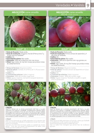 Variedades • Variétés 9
MELOCOTÓN carne amarilla
PÊCHE chair jaune
• FRUTO.
Malix®
35 destaca por su bonita presentación del fruto y su gran
coloración muy superior a Tardibelle, completamente redondo. Gusto
dulce, jugoso y aromático. Fruto de carne muy densa y de gran calidad,
recordando a los melocotones de antaño. La característica de sus frutos
le conﬁere un gran aguante, y dada la homogeneización de sus calibres,
esta variedad se puede recolectar en 2 – 3 pasadas.
• FRUIT.
Malix®
35 est remarquée par sa belle présentation et la coloration des
fruits plus colorée que Tardibelle et complètement ronde. Goût sucrée,
juteuse et aromatique.
Fruit avec une chair dense de haute qualité, en rappelant les anciens
pêches. Fruits avec une grande homogénéisation de calibre, cette
variété peut être récoltée en 2-3 passes.
• Fecha de ﬂoración: Media-tardía.
• Fecha de recolección: 30 agosto, ﬁnal de O’Henry entre 7 y
10 días antes de Tardibelle®
• Calibre: AA
• Intensidad de aclareo: Bajo-medio.
• Coloración: 100% de la superﬁcie color rojo oscuro.
• Árbol: Vigor medio, de muy fácil manejo que produce mixtas
de calidad fácilmente
• Temps de ﬂoraison: Moyenne à tardive.
• Date de collecte: 30 Août, ﬁn O’Henry de 7 à 10 jours avant
Tardibelle ®
• Calibre: AA
• L’intensité des éclaircies: Faible à moyenne
• Coloration: 100% de la surface rouge foncé.
• Arbre: vigueur moyenne, très facile à manipuler facilement
produites qualité inégale.
MALIX®
35 (1-1-275)
MELOCOTÓN carne amarilla
PÊCHE chair jaune
• FRUTO.
Malix®
36 destaca por su bonita presentación del fruto y su gran
coloración muy superior a Tardibelle, completamente redondo. Gusto
dulcemuyaromático.Granpotencialagronómico,frutosdegrancalidad.
La característica de sus frutos le conﬁere un gran aguante, y dada la
homogenización de sus calibres, esta variedad se puede recolectar tanto
en pasadas agrupadas como en recolecciones normales.
• FRUIT.
Malix®
36 de très belle présentation et fruits plus colores que Tardibelle
et complètement ronde. Le goût sucré très parfumé.
Grand potentiel agronomique, la qualité des fruits.
Avec un Calibre très homogène que permet faire de recollection
agroupes.
• Fecha de ﬂoración: Media-tardía.
• Fecha de recolección: Primera semana de septiembre y 4
días antes de Tardibelle.
• Calibre: AA
• Intensidad de aclareo: Bajo-medio.
• Coloración: 100% de la superﬁcie color rojo-granate con
fondos rojizos.
• Árbol: Vigor medio, de muy fácil manejo que produce mixtas
de calidad fácilmente.
• Temps de ﬂoraison: Moyenne à tardive
• Date de collecte: Première semaine de Septembre et 4 jours
avant Tardibelle.
• Calibre: AA
• L’intensité des éclaircies: Faible à moyenne
• Coloration: Couleur: 100% de la surface rouge.
• Arbre: Vigueur moyenne. Très facile a travailler et rapide
entre en production.
MALIX®
36 (Jomi)
 