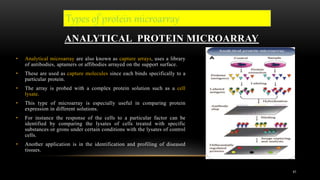 Protein sequencing. Protein expression analysis using protein ...