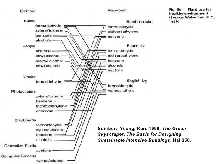 Contoh Ekosistem Mikro - Contoh Rok