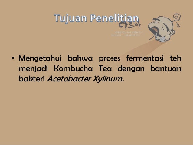 Proses Fermentasi Kombucha Tea Mengunakan Acetobacter