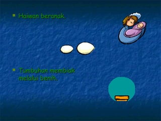    Haiwan beranak.




   Tumbuhan membiak
    melalui benih.
 