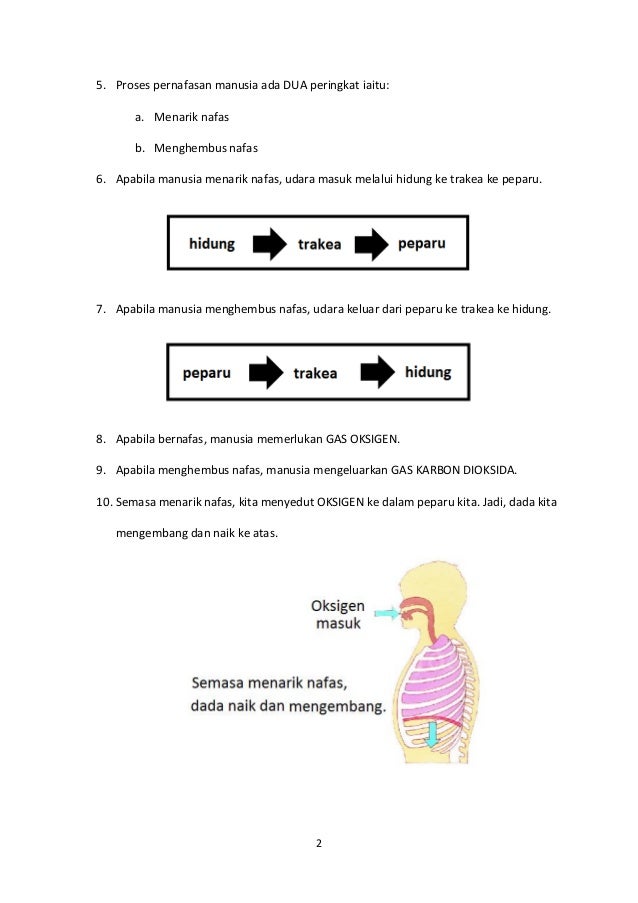  Proses hidup manusia 