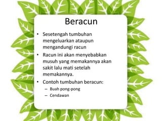 sains tahun 5 proses hidup tumbuhan