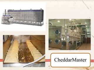CheddarMaster
 