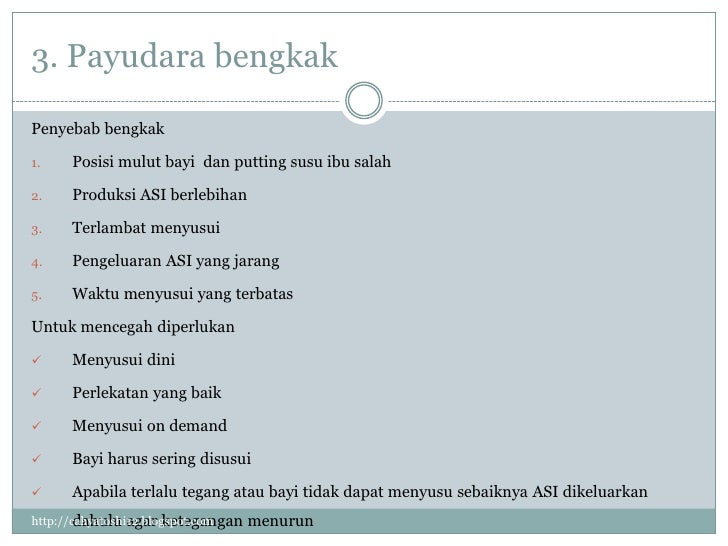 Proses laktasi dan menyusui (2)