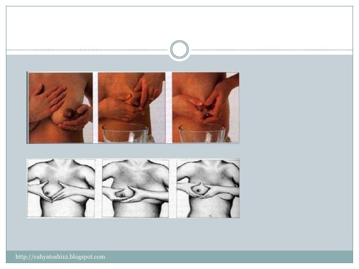 Proses laktasi dan menyusui (2)