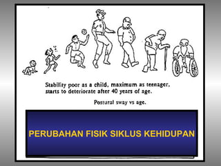 PERUBAHAN FISIK SIKLUS KEHIDUPAN 