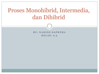 Proses Monohibrid, Intermedia,
        dan Dihibrid

         BY: NADINE SAPHYRA
              KELAS: 9.3
 