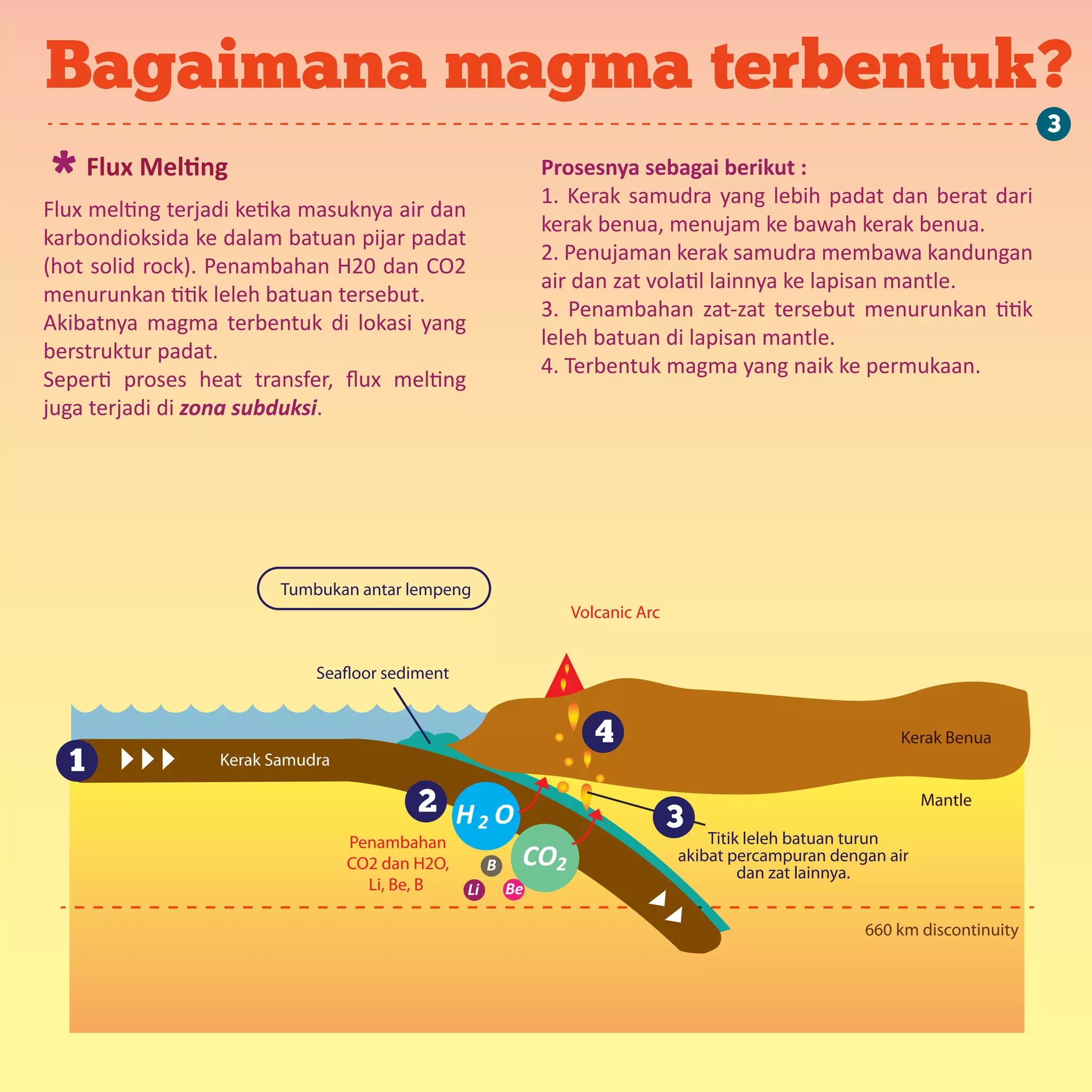 Volcanic Arc
Penambahan
CO2 dan H2O,
Li, Be, B
Kerak Samudra
Kerak Benua
Mantle
Tumbukan antar lempeng
Seafloor sediment
Titik leleh batuan turun
akibat percampuran dengan air
dan zat lainnya.
660 km discontinuity
H O2
Li Be
B CO2
Bagaimana magma terbentuk?
Flux Melting*
Flux melting terjadi ketika masuknya air dan
karbondioksida ke dalam batuan pijar padat
(hot solid rock). Penambahan H20 dan CO2
menurunkan titik leleh batuan tersebut.
Akibatnya magma terbentuk di lokasi yang
berstruktur padat.
Seperti proses heat transfer, ﬂux melting
juga terjadi di zona subduksi.
Prosesnya sebagai berikut :
1. Kerak samudra yang lebih padat dan berat dari
kerak benua, menujam ke bawah kerak benua.
2. Penujaman kerak samudra membawa kandungan
air dan zat volatil lainnya ke lapisan mantle.
3. Penambahan zat-zat tersebut menurunkan titik
leleh batuan di lapisan mantle.
4. Terbentuk magma yang naik ke permukaan.
1
2 3
4
3
 