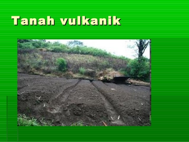 Proses pembentukan tanah