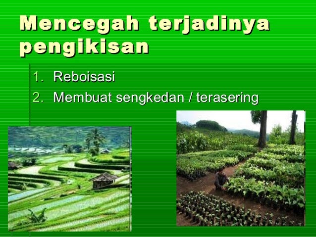 Proses Pembentukan Tanah
