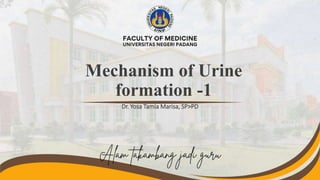 Mechanism of Urine
formation -1
Dr. Yosa Tamia Marisa, SP>PD
 