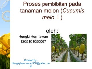Proses pembibitan pada
tanaman melon (Cucumis
melo. L)
oleh:
Hengki Hermawan
1205101050067

Created by:
Hengkyhermawan550@yahoo.co
.id

 