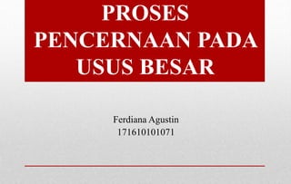 PROSES
PENCERNAAN PADA
USUS BESAR
Ferdiana Agustin
171610101071
 