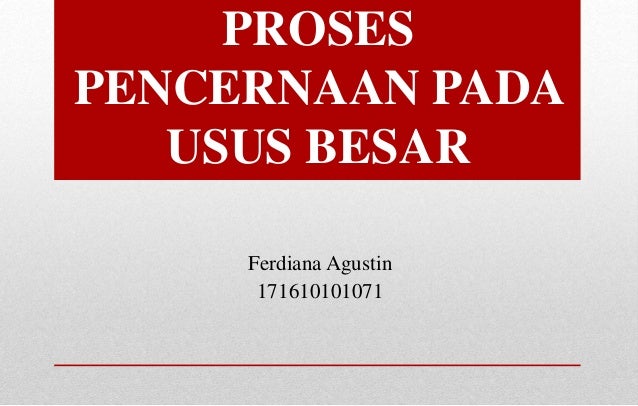 Proses Pencernaan Pada Usus Besar Proses Pencernaan Pada Usus Besar