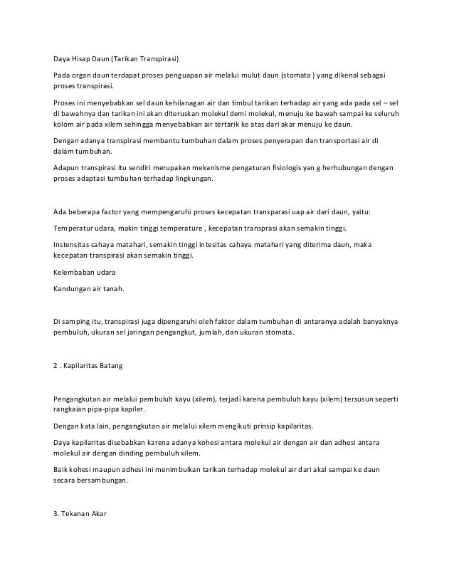 Proses Pengangkutan Pada Tumbuhan Dimulai Dari Pengambilan Zat Proses Pengangkutan Pada Tumbuhan Dimulai Dari Pengambilan Zat