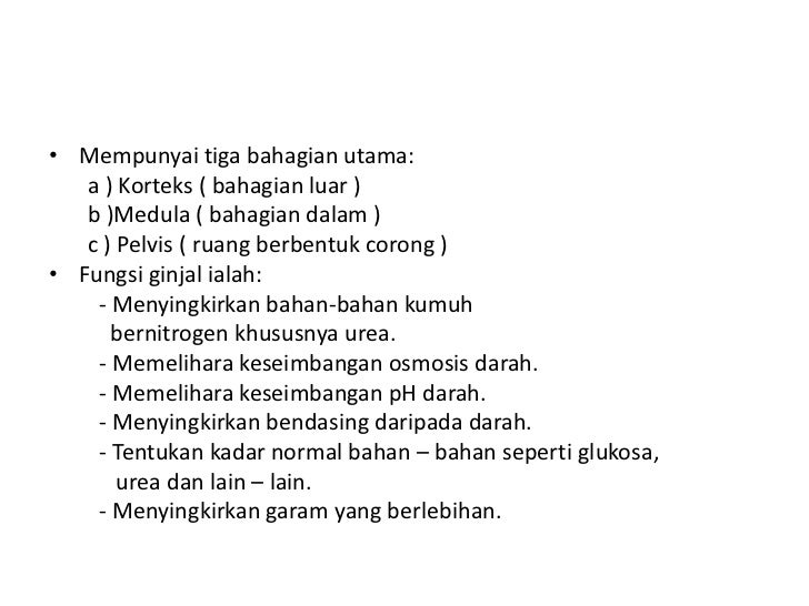 Proses penghasilan air kencing