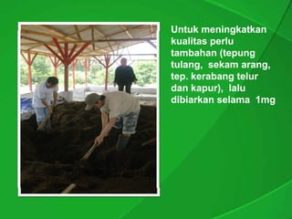 Untuk meningkatkan
kualitas perlu
tambahan (tepung
tulang,
tulang, sekam arang,
t l        k   arang,
tep.
tep. kerabang telur
dan kapur), lalu
     kapur),
dibiarkan selama 1mg
 