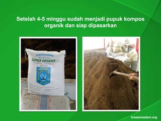 Setelah
S t l h 4-5 minggu sudah menjadi pupuk k
             i        d h      j di    k kompos
           organik dan siap dipasarkan




                                          kreasimadani.org
 