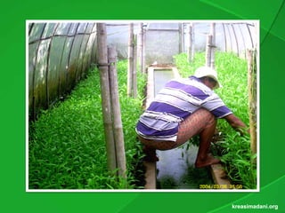 kreasimadani.org
 