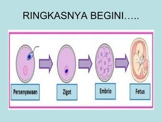 RINGKASNYA BEGINI…..

 
