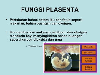 FUNGSI PLASENTA
• Pertukaran bahan antara ibu dan fetus seperti
makanan, bahan buangan dan oksigen.
• Ibu memberikan makanan, antibodi, dan oksigen
manakala bayi menyingkirkan bahan buangan
seperti karbon dioksida dan urea
» Tengok video

 