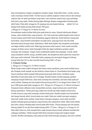 akan merasakannya sebagai serangkaian sentakan ringan. Pada akhir bulan, verniks caseosa
mulai menutupi seluruh tubuh. Verniks kaseosa adalah campuran sebum (sekresi dari kelenjar
sebasea) dan sel epitel permukaan yang tebal, suatu substansi seperti keju yang melindugi
kulit janin yang rapuh. Detak jantung dapat didengar dengan menggunakan fetoskop pada
akhir bulan. Pada akhir minggu ke-20, panjang rata-rata kepala-bokong
adalah 16,5 cm
dengan berat badan kurang lebih hamper 500 gram.
c.Minggu ke-21 hingga ke-24 (Bulan keenam)
Pertumbuhan rambut terlihat lebih jelas pada bulan ke enam. Seluruh tubuh janin dilapisi
lanugo, yakni rambut halus yang menurun. Alis, bulu mata dan rambut kepala mulai muncul.
Ukuran kepala masih lebih besar disbanding anggota tubuh lain. Kulit berkerut, bening dan
kemerahan, yang memberi penampilan tua pada janin, yang juga kurus dan dan tidak
berlemak karena kurang lemak subkutaneus. Baik darah kapiler dan mioglobin merah pada
otot dapat terlihat melalui kulit. Bakal gigi permanen telah muncul. Janin masih memiliki
ruangan di dalam uterus untuk berjungkir balik dan dapat melakukan gerakan seperti
menangis dan mengisap. Tangan mulai membentuk kepalan dan pegangan. Lemak coklat
yang merupakan sumber energy, produksi panas, dan pengaturan panas pada bayi yang baru
lahir juga mulai terbentuk. Pada akhir bulan, panjang rata-rata kepala hingga ke bokong
kurang lebih dari 20,3 m dan memiliki berat kurang lebih 1,25 pon.
3. Trimester Ketiga
a. Minggu ke-25 hingga ke-28 (Bulan ketujuh)
Meski lemak mulai sedikit disimpan dan kontur mulai membulat, janin masih terlihat kurus
dan Nampak masih tampak tua dan berkerut selama bulan ini. Penambahan berat badan yang
berarti membuat tubuh menjadi lebih proporsional pada akhir bulan. Surfaktan mulai
dihasilkan di paru-paru pada usia 26 minggu. Rambut kepala semakin panjang, gerakan
mengisap menjadi lebih kuat, mata mulai menutup dan membuka, dan kuku-kuku pada jari
mulai terlihat. Panjang rata-rata kepala-bokong kurang lebih 23 cm dengan berat sekitar 2,25
pon (1000 gram) pada akhir minggu ke-28.b. Minggu ke-29 hingga ke-32 (Bulan kedelapan)
Simpanan lemak subkutan mulai memperhalus kerutan, tetapi kerutan janin masih belum
hilang sepenuhnya. Tubuh janin juga sudah terisi lemak dan tidak tampak terlalu kurus.
Verniks kaseosa yang tebal menutupi seluruh tubuh janin. Rambut kepala terus bertumbuh
dan lanugo banyak sekali, kecuali pada area wajah. Kuku jari sudah mencapai ujungnya,
kuku kaki sudah mulai tumbuh, tetapi belum mencapai ujungnya. Janin telah memiliki
kendali terhadap gerak pernapasan yang berirama dan temperature tubuh. Mata telah terbuka
dan reflex cahaya terhadap pupil muncul pada akhir bulan. Ukuran panjang rata-rata kepalabokong adalah 28 cm dan berat badan kurang lebih 3,75 pon.c. Minggu ke-33 hingga ke-36
Pada akhir bulan ini, kulit menjadi halus tanpa kerutan karena lemak subkutan menebal dari
cadangan tambahan. Tubuh menjadi lebih bulat sementara lengan dan tungkai tampak
montok. Rambut memanjang, kuku pada jari kaki telah mencapai ujungnya, dan testis sebelah

 
