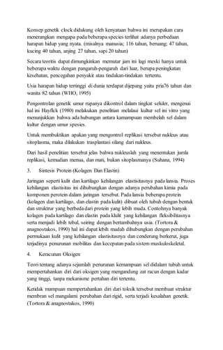 Konsep genetik clock didukung oleh kenyataan bahwa ini merupakan cara
menerangkan mengapa pada beberapa species terlihat adanya perbedaan
harapan hidup yang nyata. (misalnya manusia; 116 tahun, beruang; 47 tahun,
kucing 40 tahun, anjing 27 tahun, sapi 20 tahun)
Secara teoritis dapat dimungkinkan memutar jam ini lagi meski hanya untuk
beberapa waktu dengan pangaruh-pengaruh dari luar, berupa peningkatan
kesehatan, pencegahan penyakit atau tindakan-tindakan tertentu.
Usia harapan hidup tertinggi di dunia terdapat dijepang yaitu pria76 tahun dan
wanita 82 tahun (WHO, 1995)
Pengontrolan genetik umur rupanya dikontrol dalam tingkat seluler, mengenai
hal ini Hayflck (1980) melakukan penelitian melalaui kultur sel ini vitro yang
menunjukkan bahwa ada hubungan antara kamampuan membelah sel dalam
kultur dengan umur spesies.
Untuk membuktikan apakan yang mengontrol replikasi tersebut nukleus atau
sitoplasma, maka dilakukan trasplantasi silang dari nukleus.
Dari hasil penelitian tersebut jelas bahwa nukleuslah yang menentukan jumla
replikasi, kemudian menua, dan mati, bukan sitoplasmanya (Suhana, 1994)
3. Sintesis Protein (Kolagen Dan Elastin)
Jaringan seperti kulit dan kartilago kehilangan elastisitasnya pada lansia. Proses
kehilangan elastisitas ini dihubungkan dengan adanya perubahan kimia pada
komponen perotein dalam jaringan tersebut. Pada lansia beberapa protein
(kolagen dan kartilago, dan elastin pada kulit) dibuat oleh tubuh dengan bentuk
dan struktrur yang berbedadari protein yang lebih muda. Contohnya banyak
kolagen pada kartilago dan elastin pada klulit yang kehilangan fleksibilitasnya
serta menjadi lebih tebal, seiring dengan bertambahnya usia. (Tortora &
anagnostakos, 1990) hal ini dapat lebih mudah dihubungkan dengan perubahan
permukaan kulit yang kehilangan elastisitasnya dan cenderung berkerut, juga
terjadinya penurunan mobilitas dan kecepatan pada sistem muskuloskeletal.
4. Keracunan Oksigen
Teori tentang adanya sejumlah penurunan kemampuan sel didalam tubuh untuk
mempertahankan diri dari oksigen yang mengandung zat racun dengan kadar
yang tinggi, tanpa mekanisme pertahan diri tertentu.
Ketidak mampuan mempertahankan diri dari toksik tersebut membuat struktur
membran sel mangalami perubahan dari rigid, serta terjadi kesalahan genetik.
(Tortora & anagnostakos, 1990)
 