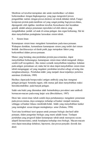 Membran sel tersebut merupakan alat untuk memfasilitasi sel dalam
berkomunikasi dengan lingkungannya yang juga mengontrol proses
pengambilan nutrien dengan proses ekskresi zat toksik didalam tubuh. Fungsi
komponen protein pada membran sel yang sangat penting bagi proses diatas,
dipengaruhi oleh rigiditas membran tersebut. Konsekuensi dari kesalahan
genetik adalah adanya penurunan reproduksi sel oleh mitosis yang
mengakibatkan jumlah sel anak di semua jaringan dan organ berkurang. Hal ini
akan menyebabkan peningkatan kerusakan sistem tubuh.
5. Sistem Imun
Kemampuan sistem imun mengalami kemunduran pada masa penuaan.
Walaupun demikian, kemunduran kamampuan sistem yang terdiri dari sistem
limfatik dan khususnya sel darah putih, juga merupakan faktor yang
berkontribusi dalam proses penuaan.
Mutasi yang berulang atau perubahan protein pascatranslasi, dapat
menyebabkan berkurangnya kamampuan sistem imun tubuh mengenali dirinya
sendiri (self recognition). Jika mutasi somatik menyebabkan terjadinya kelainan
pada antigen permukaan sel, maka hal ini akan dapat menyebabkan sistem imun
tubuh menganggap sel yang megalami perubahan tersebut sebagi sel asing dan
menghancurkannya. Perubahan inilah yang menjadi dasar terjadinya peristiwa
autoimun (Goldstein, 1989)
Hasilnya dapat pula berupa reaksi antigen antibody yang luas mengenai
jaringan-jaringan beraneka ragam, efek menua jadi akan menyebabkan reaksi
histoinkomtabilitas pada banyak jaringan.
Salah satu bukti yang ditemukan ialah bertambahnya prevalensi auto antibodi
bermacam-macam padaorang lanjut usia (Brocklehurst, 1987)
Disisi lain sistem imun tubuh sendiri daya pertahanannya mengalami penurunan
pada proses menua, daya serangnya terhadap sel kanker menjadi menurun,
sehingga sel kanker leluasa membelah-belah. Inilah yang menyebabkan kanker
yang meningkat sesuai dengan meningkatnya umur (Suhana, 1994)
Teori atau kombinasi teori apapun untuk penuaan biologis dan hasil akhir
penuaan, dalam pengertian biologis yang murni adalah benar. Terdapat
perubahan yang progresif dalam kemampuan tubuh untuk merespons secara
adaptif (homeostatis), untuk beradaptasiterhadap stres biologis. Macam-macam
stres dapat mencakup dehidrasi, hipotermi, dan proses penyakit. (kronik dan
akut)
 