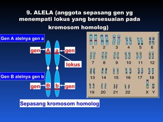 Comprehensive Study of Genetic Inheritance and Mendelian Genetics | PPT