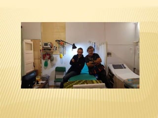 ΠΡΟΣΦΥΓΕΣ - ΕΘΕΛΟΝΤΙΣΜΟΣ