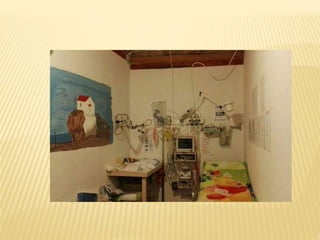 ΠΡΟΣΦΥΓΕΣ - ΕΘΕΛΟΝΤΙΣΜΟΣ