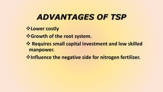 ADVANTAGES OF TSP
Lower costly
Growth of the root system.
 Requires small capital investment and low skilled
manpower.
Influence the negative side for nitrogen fertilizer.
 