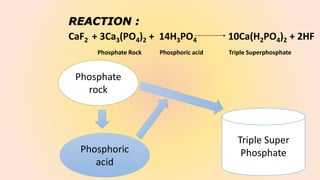 REACTION :
CaF2 + 3Ca3(PO4)2 + 14H3PO4 10Ca(H2PO4)2 + 2HF
Phosphate Rock Phosphoric acid Triple Superphosphate
Phosphate
rock
Phosphoric
acid
Triple Super
Phosphate
 