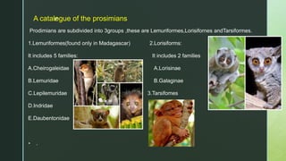 z
A catalogue of the prosimians
Prodimians are subdivided into 3groups ,these are Lemuriformes,Lorisifornes andTarsiformes.
1.Lemuriformes(found only in Madagascar) 2.Lorisiforms:
It includes 5 families: It includes 2 families
A.Cheirogaleidae A.Lorisinae
B.Lemuridae B.Galaginae
C.Lepilemuridae 3.Tarsifomes
D.Indridae
E.Daubentonidae
 .
 