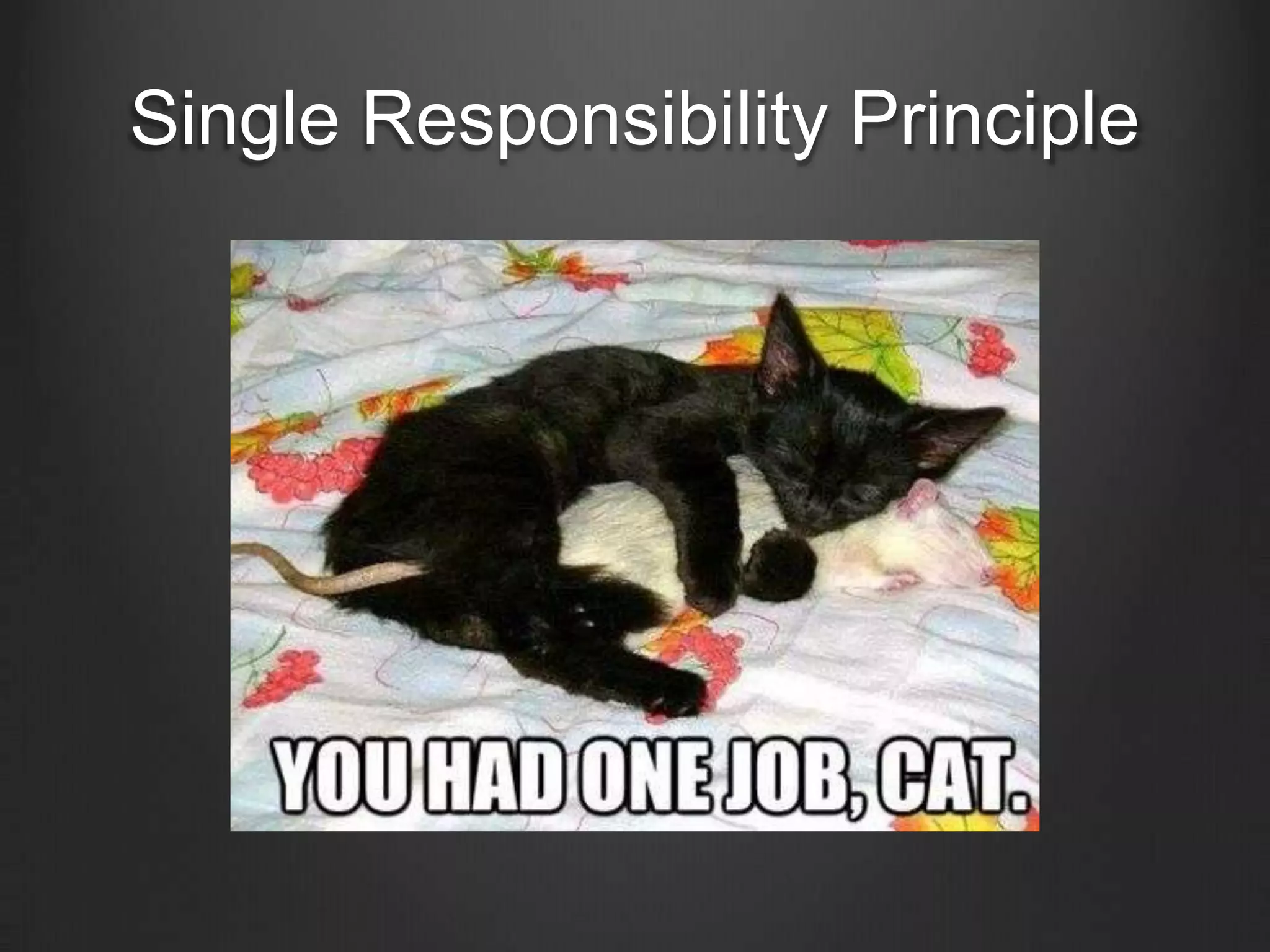 Single Responsibility Principle
 
