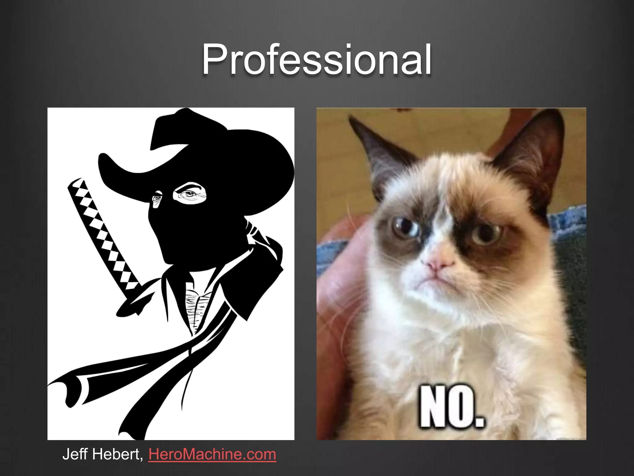 Professional
Jeff Hebert, HeroMachine.com
 