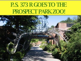 P.S. 373 R GOES TO THE  PROSPECT PARK ZOO! 